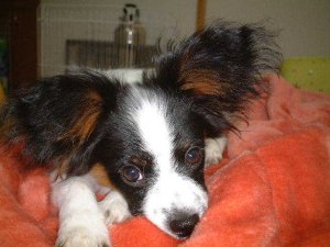 �����������H